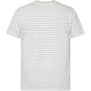 REDGREEN COLT T-SHIRT SS T-shirt 0701 Green Pastel 16-0110 TCX