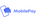 Payment type logo